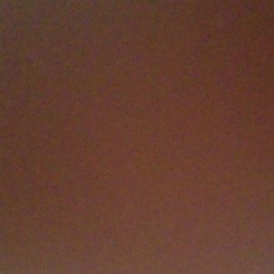 Meet your Posher, Hector